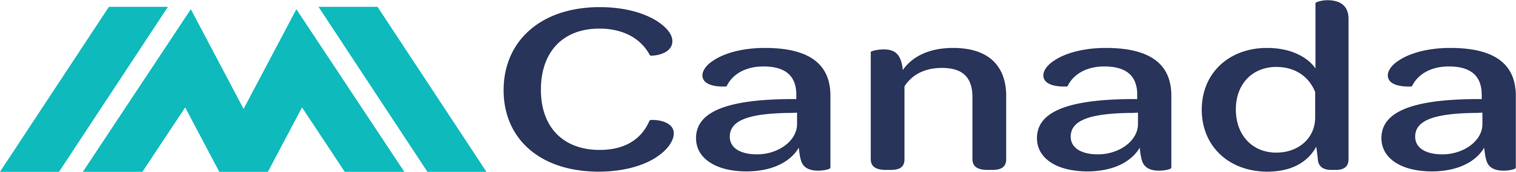 IMI Logo